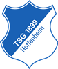 Wappen TSG 1899 Hoffenheim 77